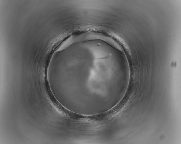 X0000091360633200708101420