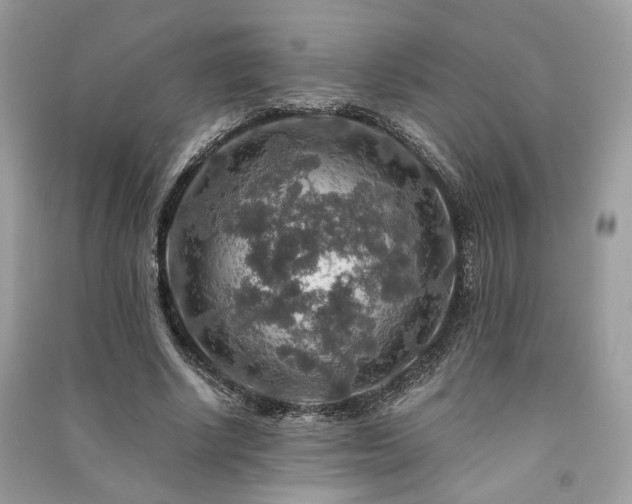 X0000091360634200708101420