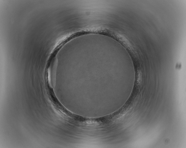 X0000091360636200708101420