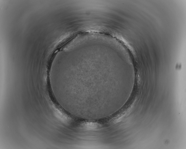X0000091360637200708101420