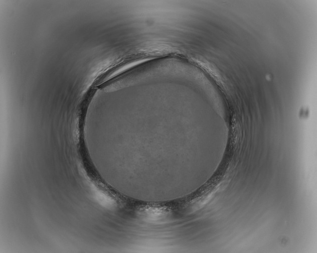 X0000091360638200708101420