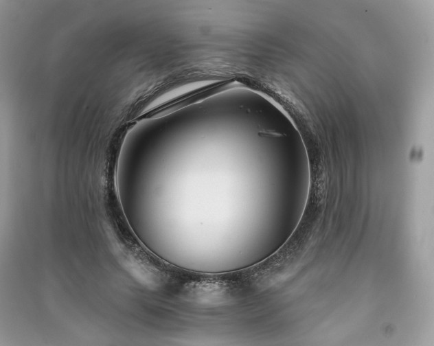X0000091360639200708101420