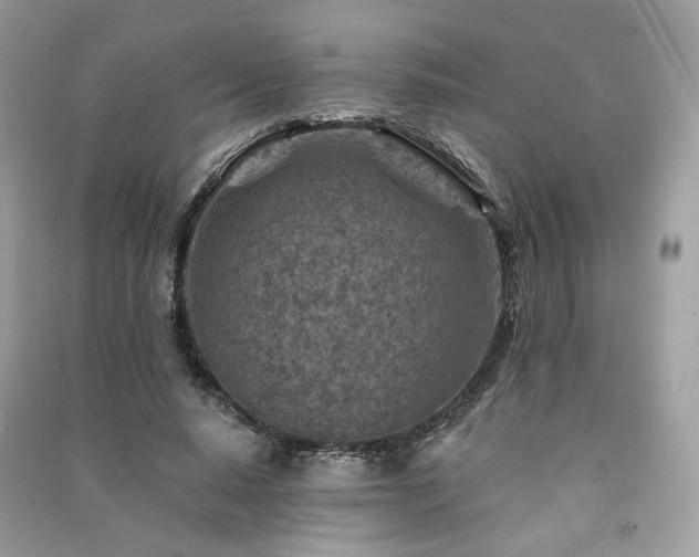 X0000091360640200708101420