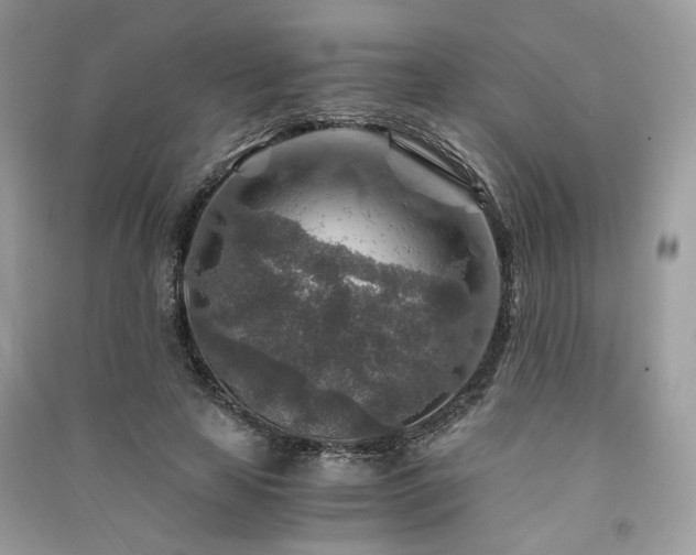 X0000091360641200708101420