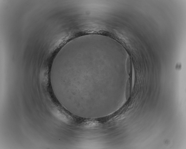 X0000091360642200708101420