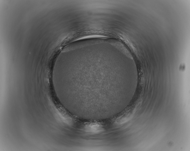 X0000091360643200708101420