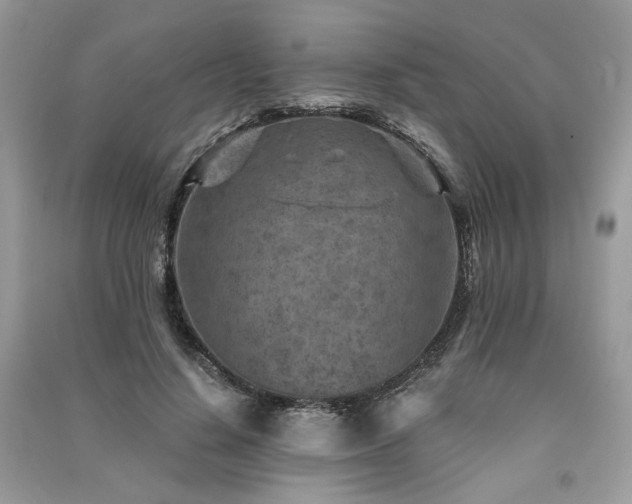 X0000091360644200708101420