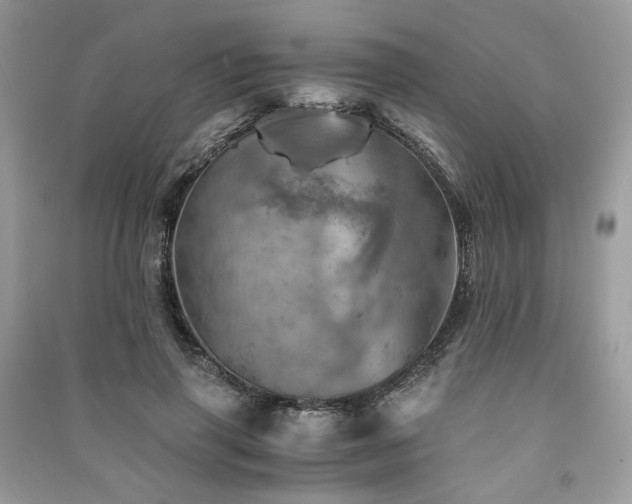 X0000091360645200708101420