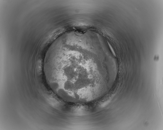 X0000091360646200708101420