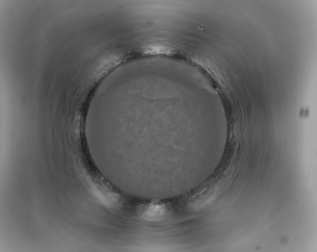 X0000091360647200708101420