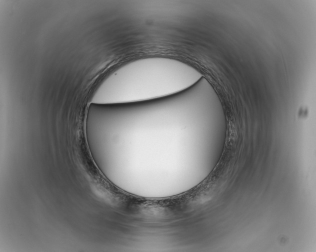 X0000091360648200708101420