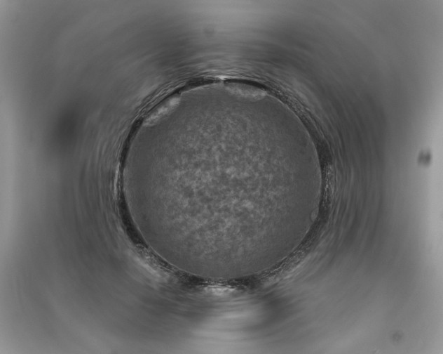 X0000091360650200708101420