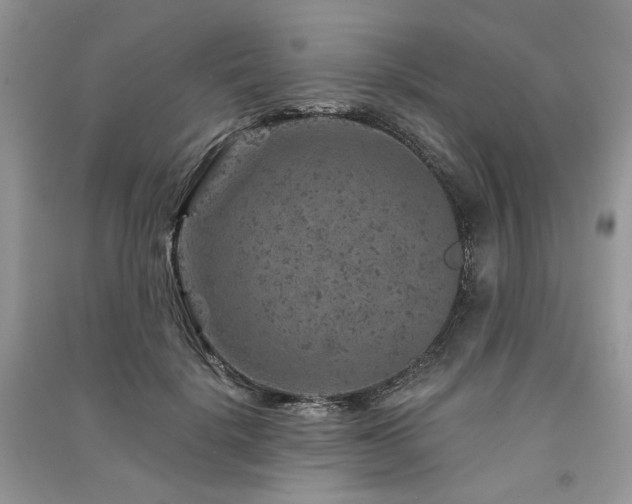 X0000091360652200708101420