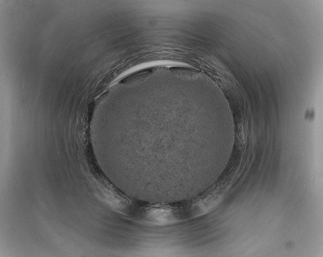 X0000091360653200708101420