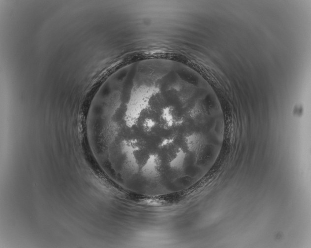 X0000091360654200708101420