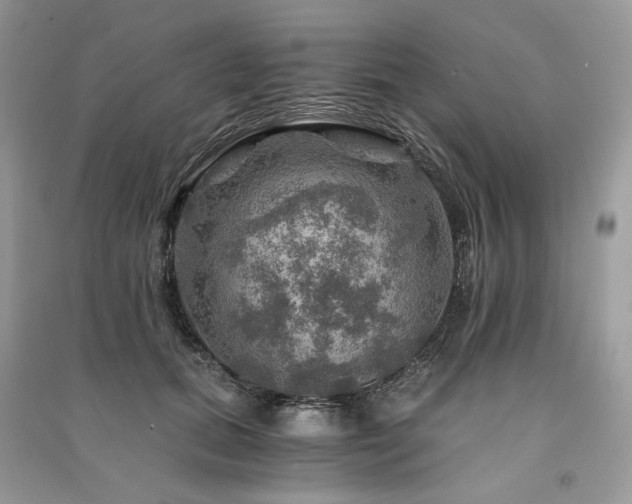 X0000091360655200708101420