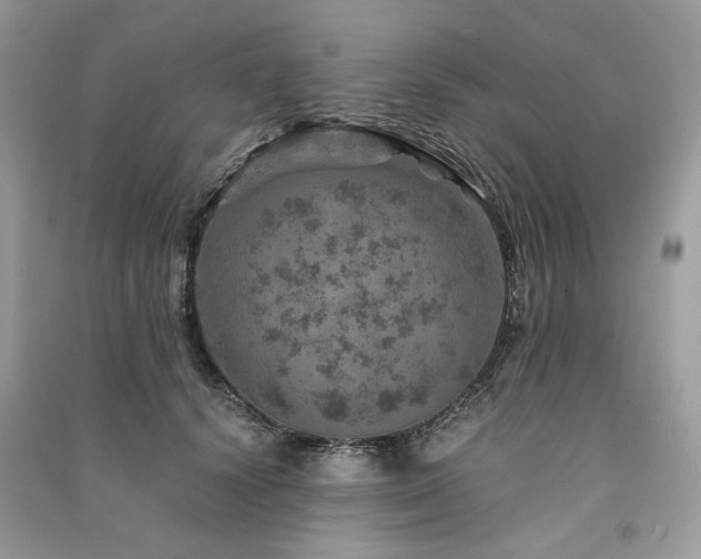 X0000091360656200708101420