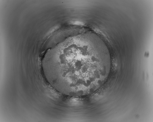 X0000091360657200708101420