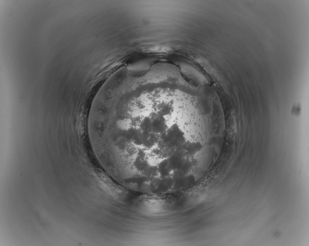 X0000091360658200708101420