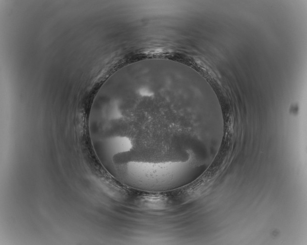 X0000091360659200708101420