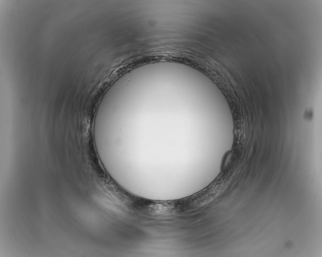 X0000091360660200708101420