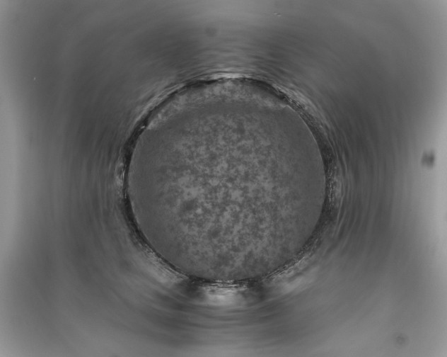 X0000091360661200708101420