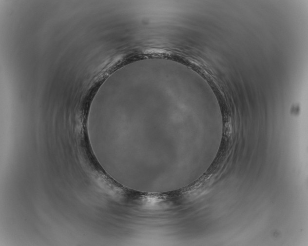 X0000091360662200708101420