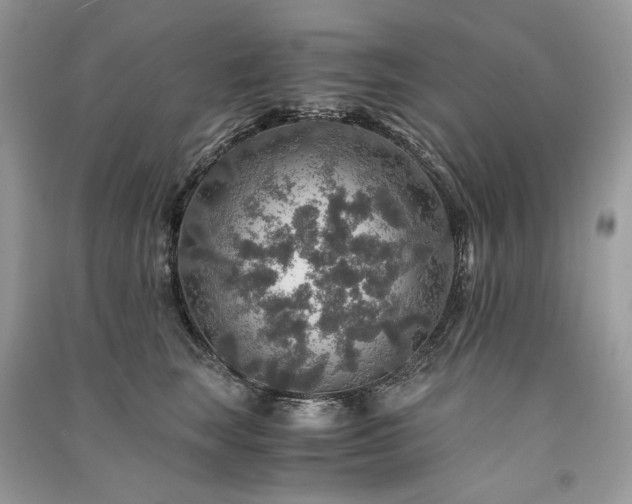 X0000091360663200708101420