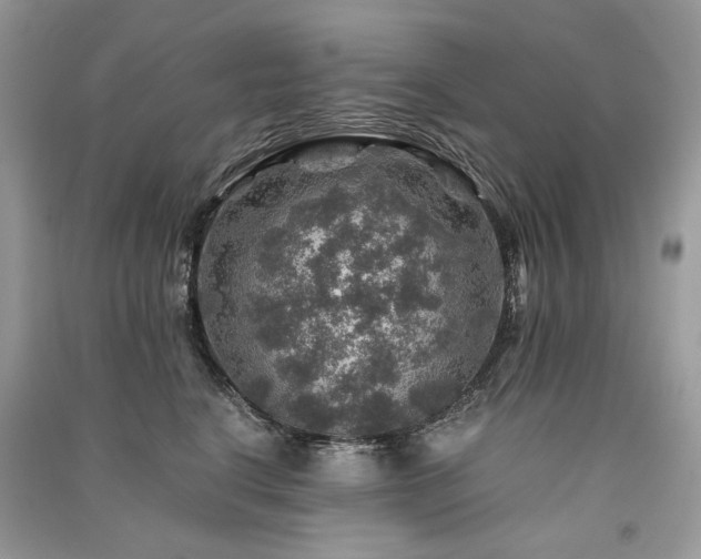 X0000091360664200708101420