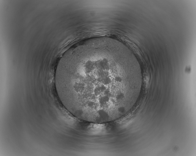 X0000091360665200708101420