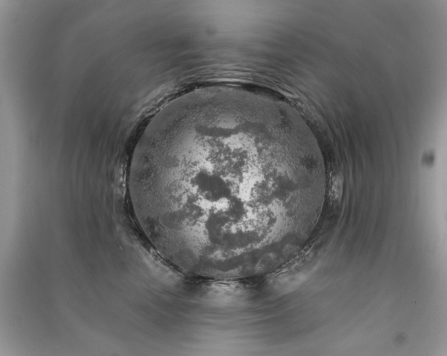 X0000091360666200708101420