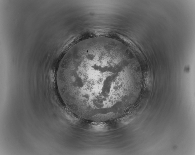 X0000091360667200708101420