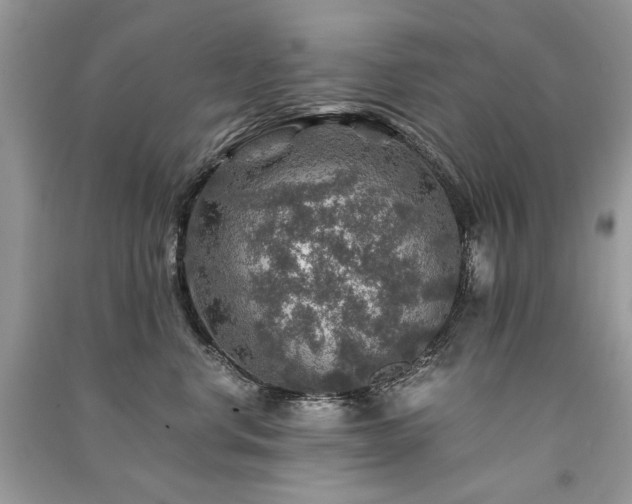 X0000091360668200708101420