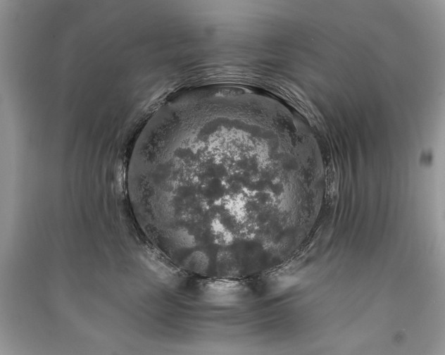 X0000091360669200708101420