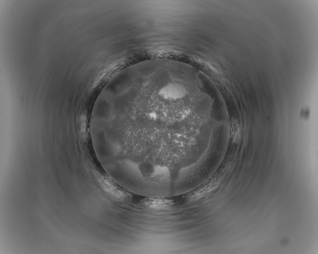 X0000091360670200708101420