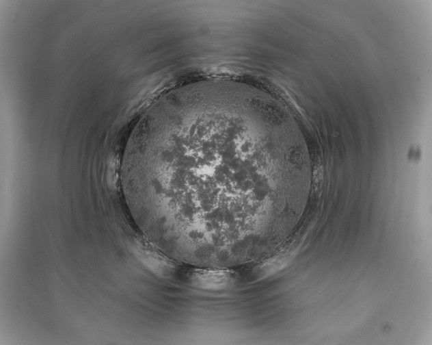 X0000091360671200708101420