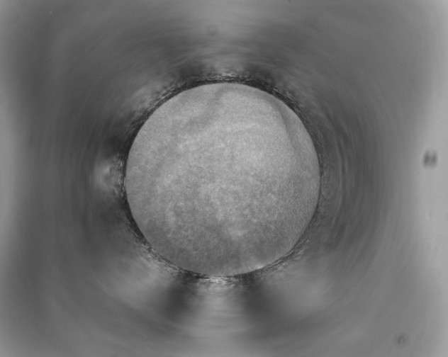 X0000091360672200708101420