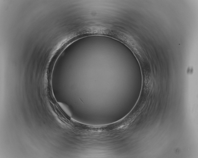 X0000091360674200708101420