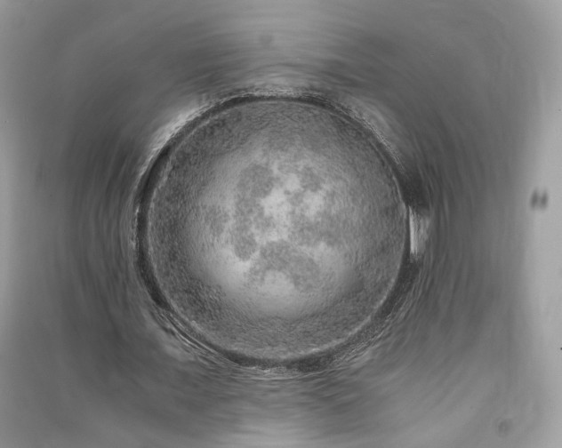 X0000091360675200708101420