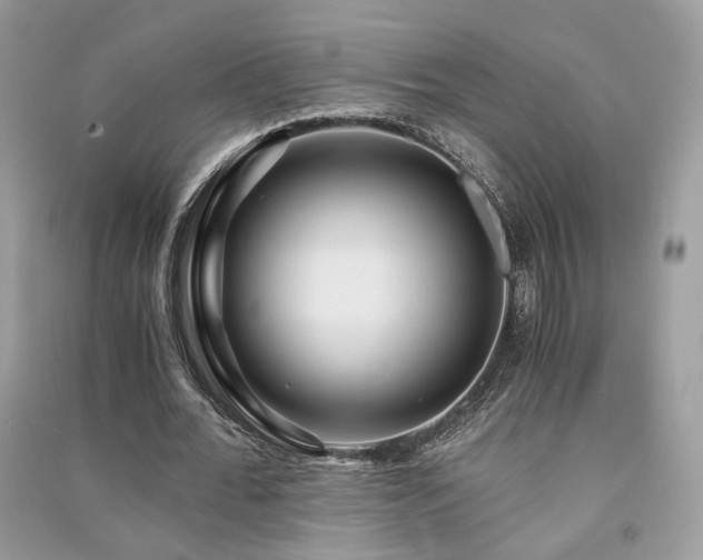 X0000091360676200708101420