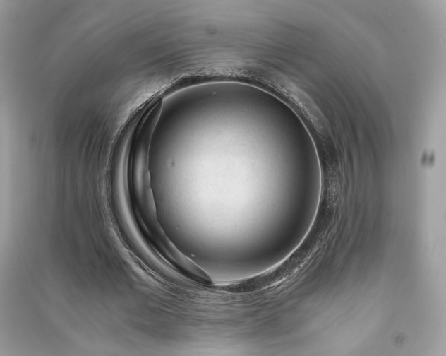 X0000091360677200708101420
