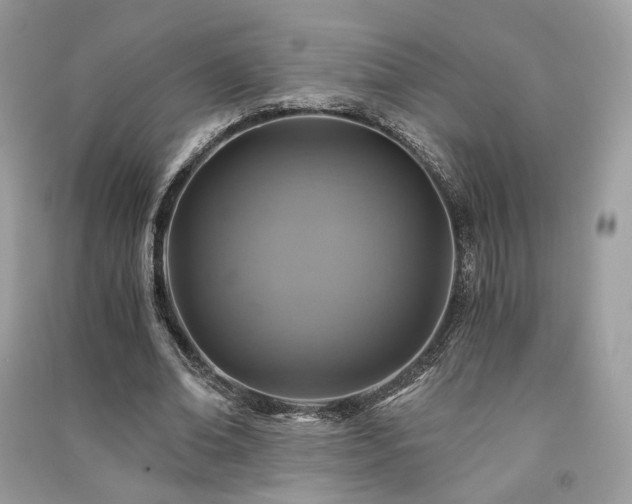X0000091360678200708101420