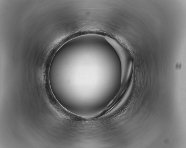 X0000091360680200708101420