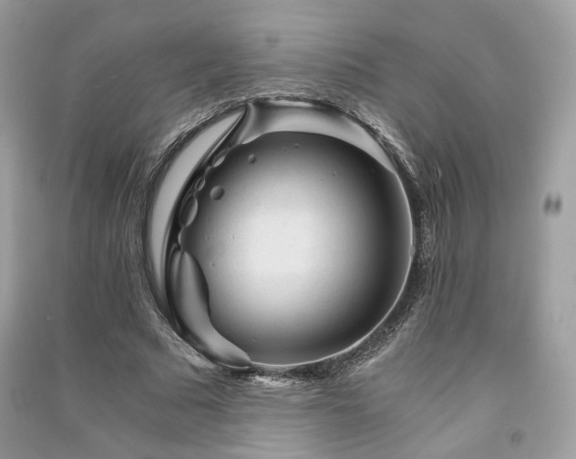 X0000091360681200708101420