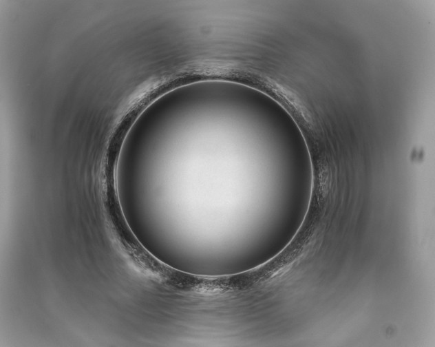 X0000091360682200708101419