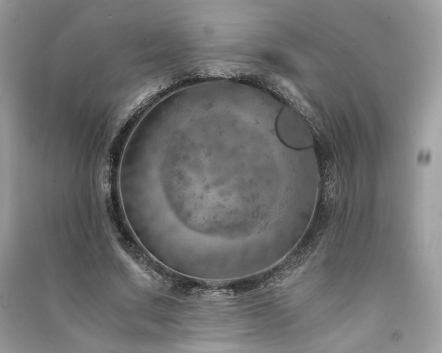 X0000091360683200708101419
