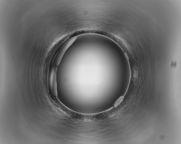 X0000091360684200708101419