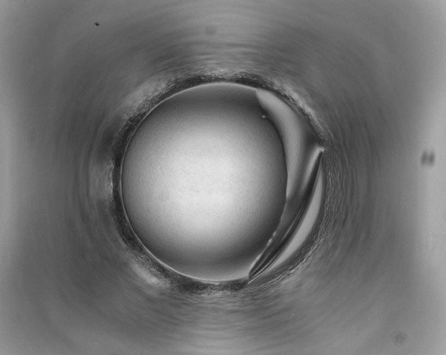 X0000091360685200708101419