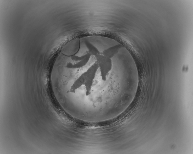 X0000091360687200708101419