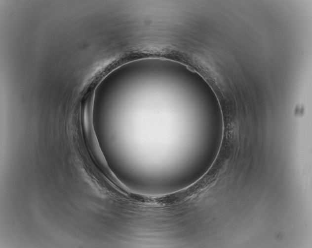 X0000091360688200708101419
